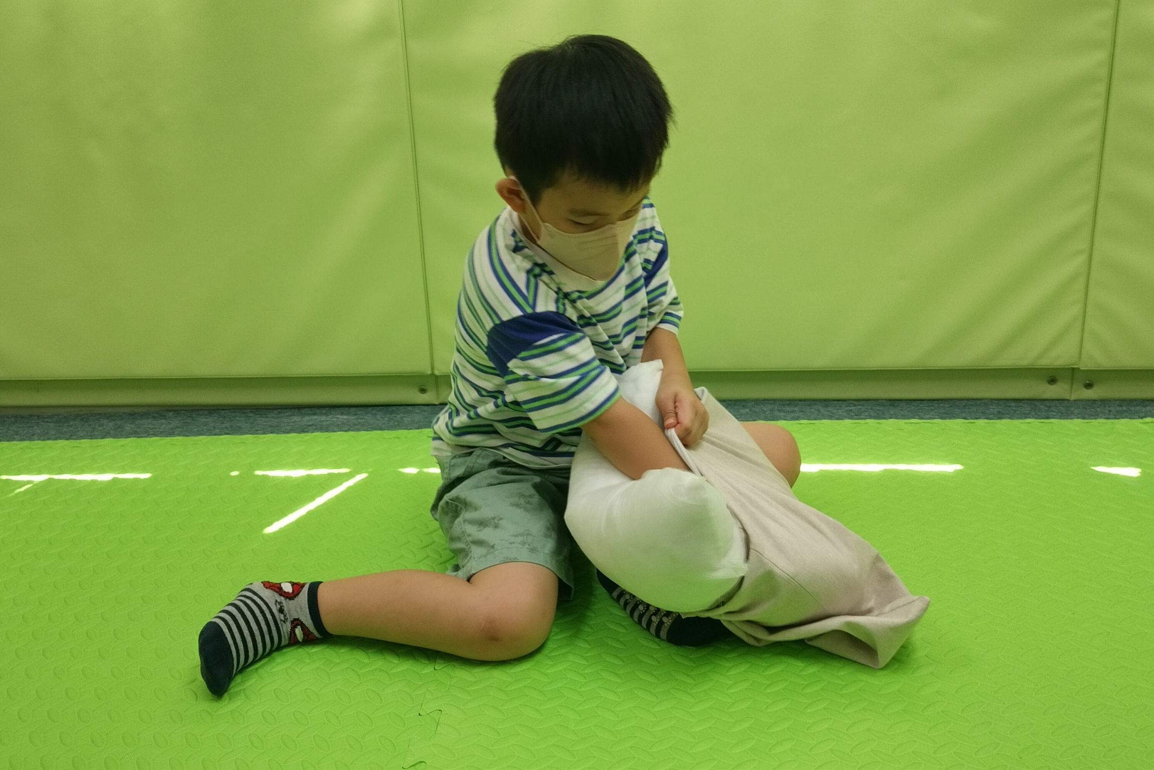 本頁圖片/檔案 - 入枕頭套